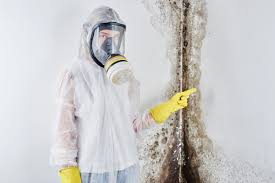 Best Comprehensive Air Testing for Mold Contaminants in Prairie View, TX